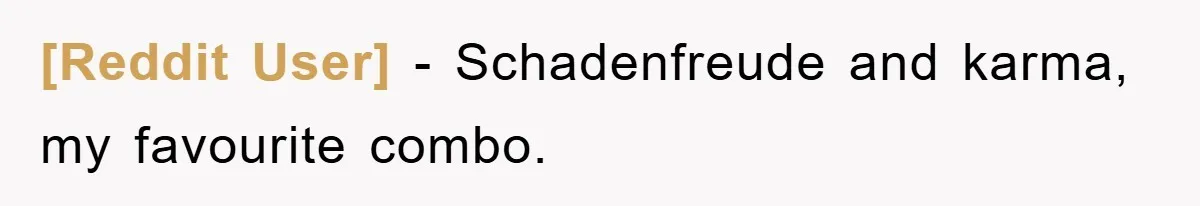 [Reddit User] − Schadenfreude and karma, my favourite combo.