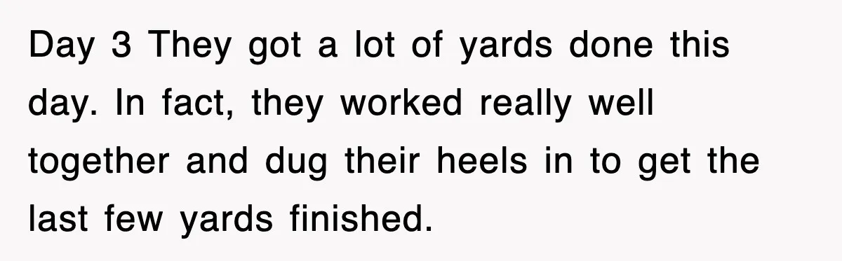 Day 3 They got a lot of yards done this day. In fact, they worked really well together and dug their heels in to get the last few yards finished.