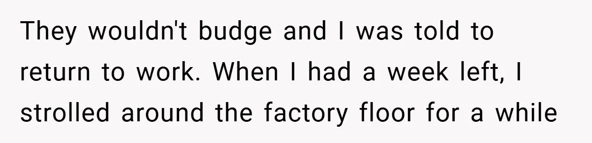 They wouldn't budge and I was told to return to work. When I had a week left, I strolled around the factory floor for a while