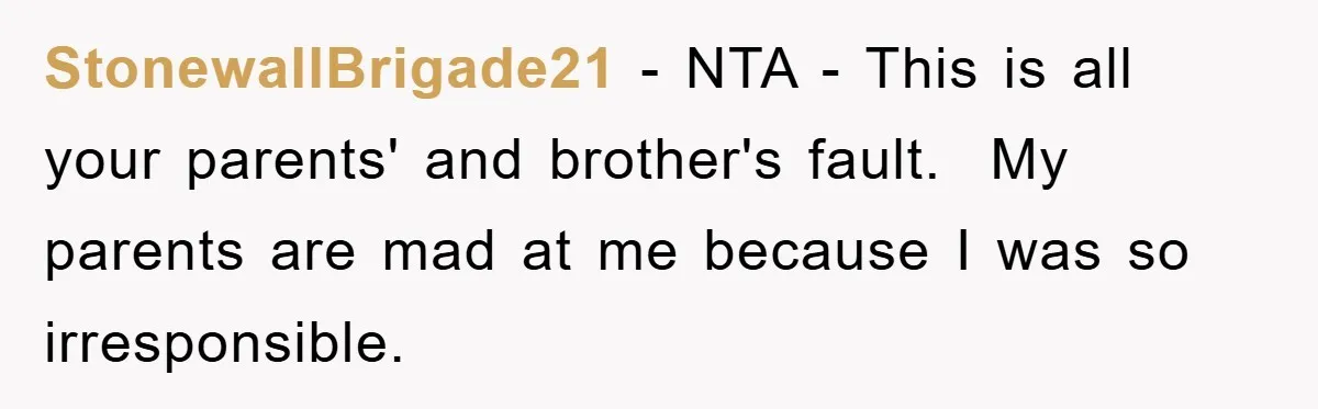 StonewallBrigade21 − NTA - This is all your parents' and brother's fault. ​ My parents are mad at me because I was so irresponsible.