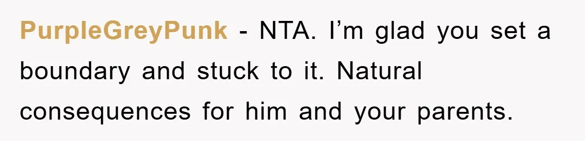 PurpleGreyPunk − NTA. I’m glad you set a boundary and stuck to it. Natural consequences for him and your parents.