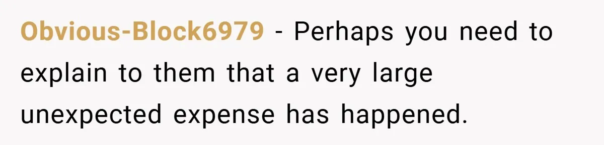 Obvious-Block6979 − Perhaps you need to explain to them that a very large unexpected expense has happened.