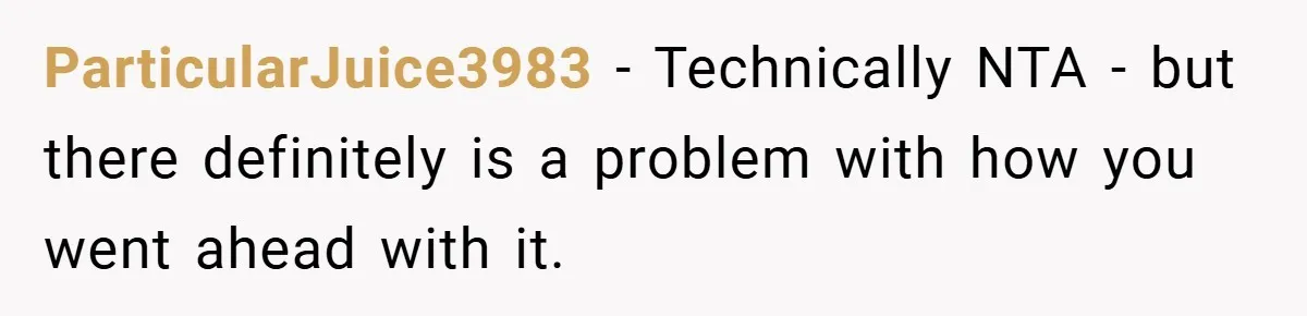 ParticularJuice3983 − Technically NTA - but there definitely is a problem with how you went ahead with it.