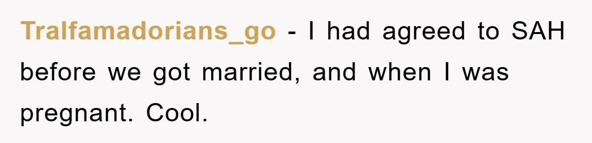 Mom Tries To Return To Work After Maternity Leave, Husband Treats It Like Divorce Papers Tralfamadorians_go − I had agreed to SAH before we got married, and when I was pregnant. Cool.