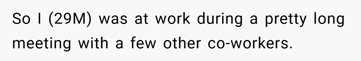 So I (29M) was at work during a pretty long meeting with a few other co-workers.