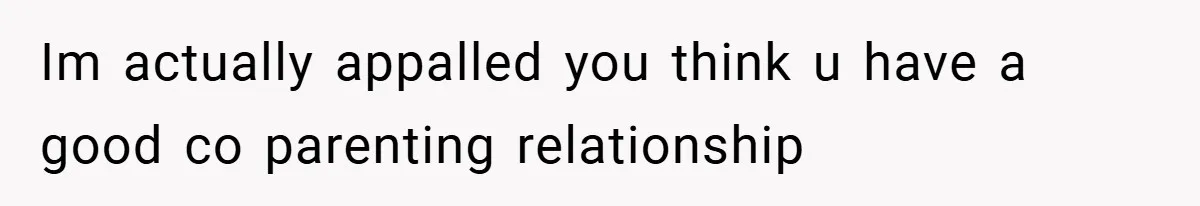 Im actually appalled you think u have a good co parenting relationship