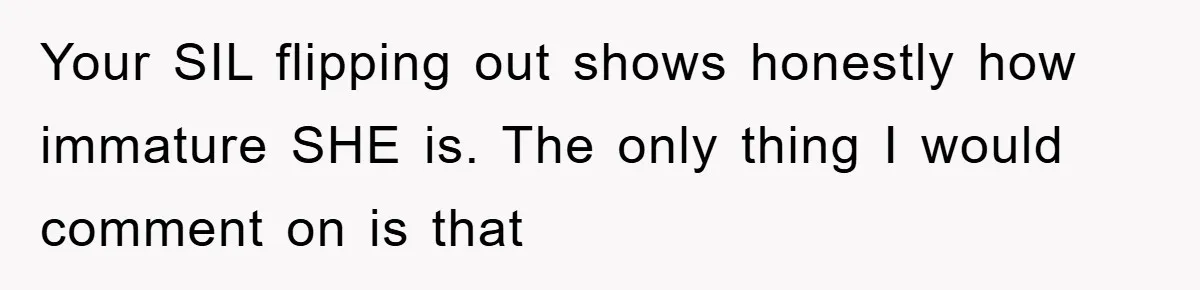 Your SIL flipping out shows honestly how immature SHE is. The only thing I would comment on is that