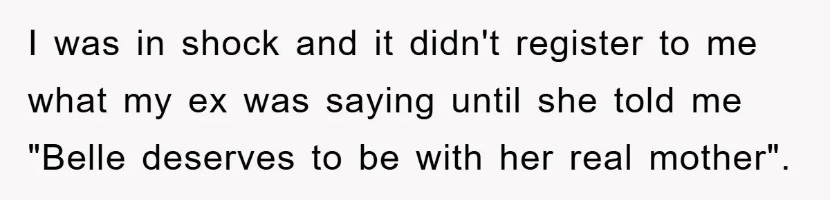 I was in shock and it didn't register to me what my ex was saying until she told me "Belle deserves to be with her real mother".