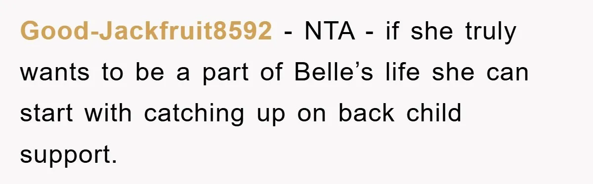 Good-Jackfruit8592 − NTA - if she truly wants to be a part of Belle’s life she can start with catching up on back child support.