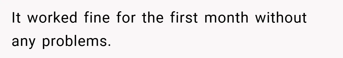 It worked fine for the first month without any problems.