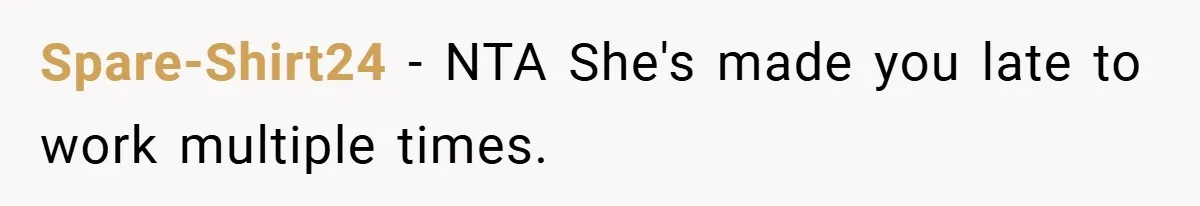 Spare-Shirt24 − NTA She's made you late to work multiple times.