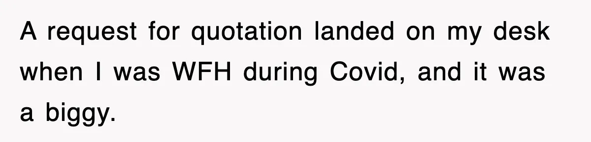 A request for quotation landed on my desk when I was WFH during Covid, and it was a biggy.