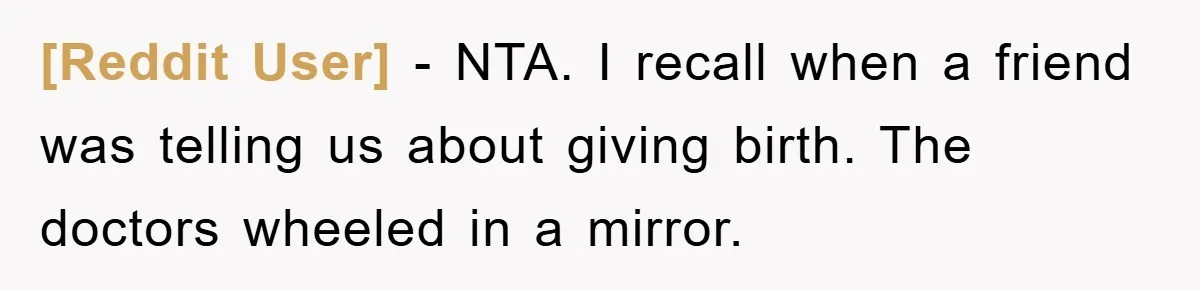 [Reddit User] − NTA. I recall when a friend was telling us about giving birth. The doctors wheeled in a mirror.