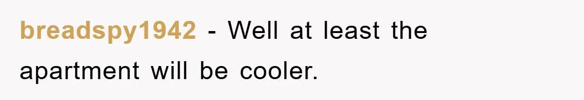 breadspy1942 − Well at least the apartment will be cooler.