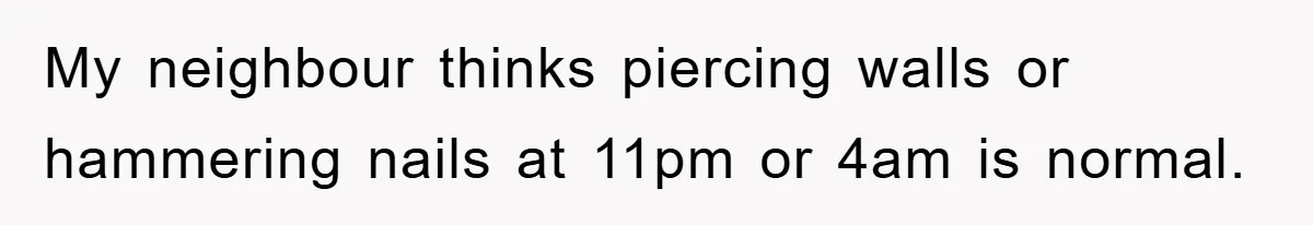 My neighbour thinks piercing walls or hammering nails at 11pm or 4am is normal.