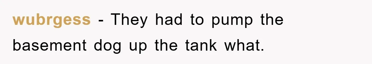 Woman Warned Neighbor About The Rain Tank, They Ignored Her—Now Their Basement’s A Swimming Pool wubrgess − They had to pump the basement dog up the tank what.