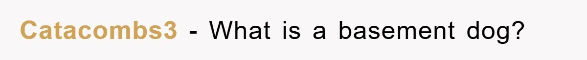 Woman Warned Neighbor About The Rain Tank, They Ignored Her—Now Their Basement’s A Swimming Pool Catacombs3 − What is a basement dog?