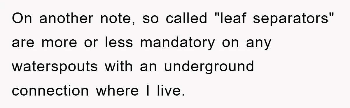 Woman Warned Neighbor About The Rain Tank, They Ignored Her—Now Their Basement’s A Swimming Pool On another note, so called "leaf separators" are more or less mandatory on any waterspouts with an underground connection where I live.