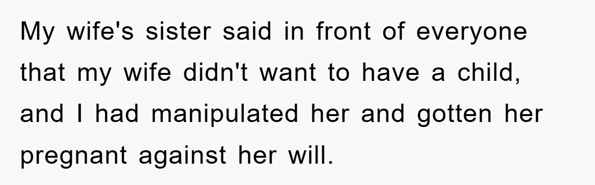 My wife's sister said in front of everyone that my wife didn't want to have a child, and I had manipulated her and gotten her pregnant against her will.