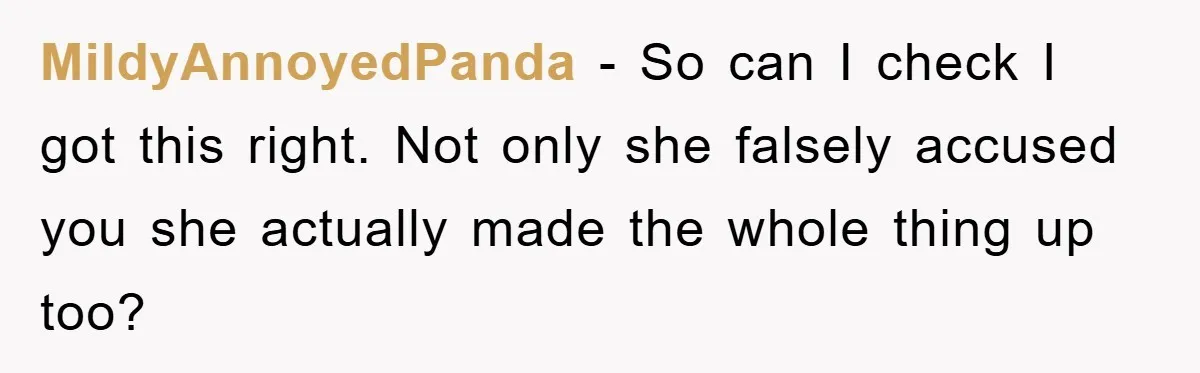 MildyAnnoyedPanda − So can I check I got this right. Not only she falsely accused you she actually made the whole thing up too?