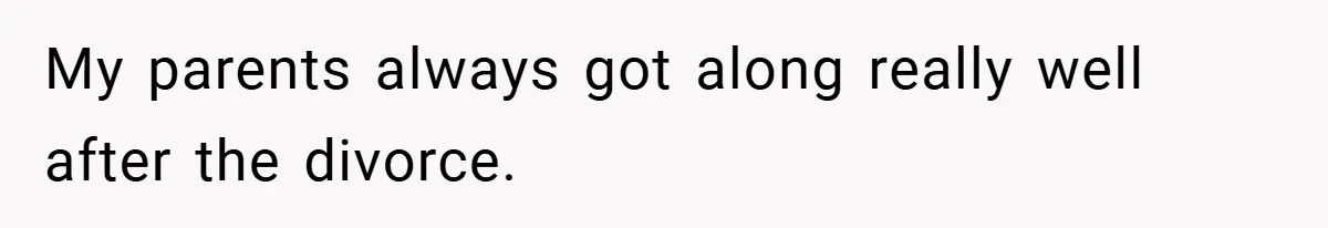 My parents always got along really well after the divorce.