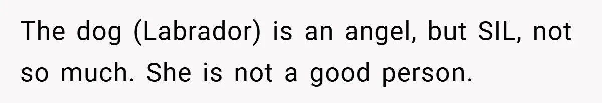 The dog (Labrador) is an angel, but SIL, not so much. She is not a good person.