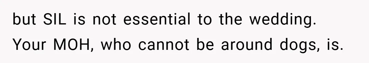but SIL is not essential to the wedding. Your MOH, who cannot be around dogs, is.