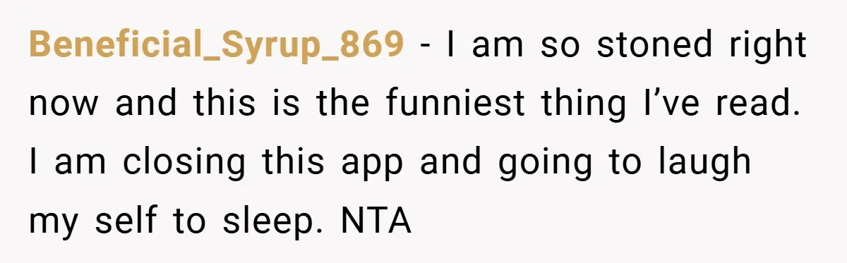 Beneficial_Syrup_869 − I am so stoned right now and this is the funniest thing I’ve read. I am closing this app and going to laugh my self to sleep. NTA