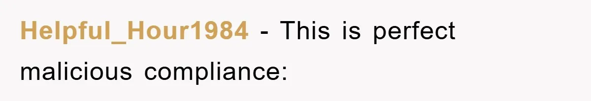 Helpful_Hour1984 − This is perfect malicious compliance: