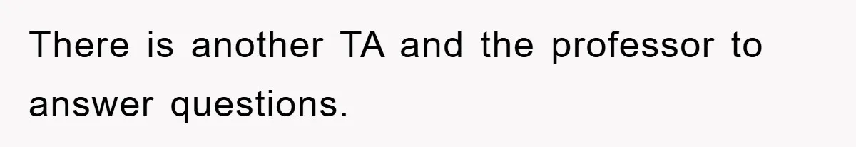 There is another TA and the professor to answer questions.