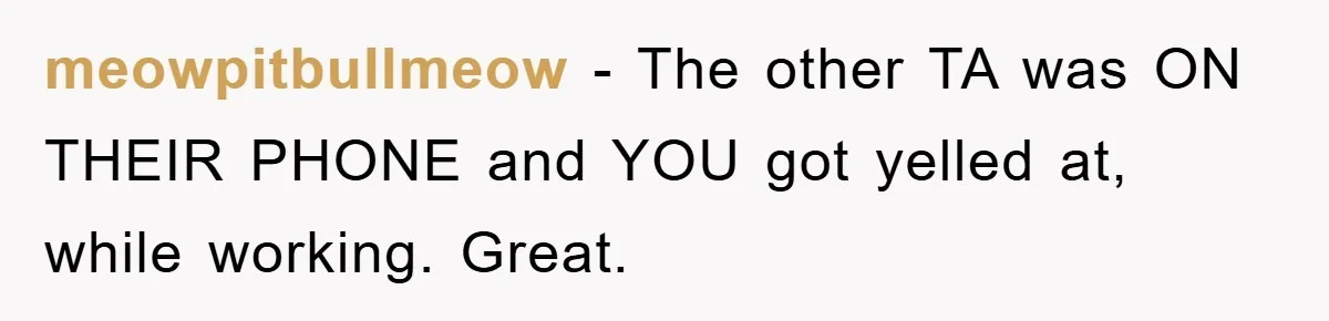 meowpitbullmeow − The other TA was ON THEIR PHONE and YOU got yelled at, while working. Great.