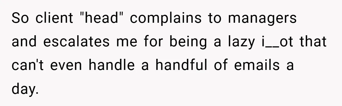 So client "head" complains to managers and escalates me for being a lazy i__ot that can't even handle a handful of emails a day.