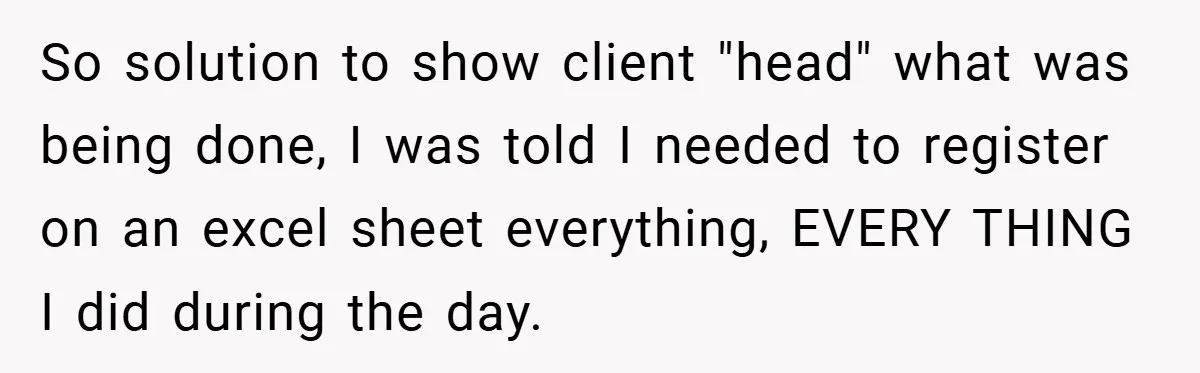 So solution to show client "head" what was being done, I was told I needed to register on an excel sheet everything, EVERY THING I did during the day.
