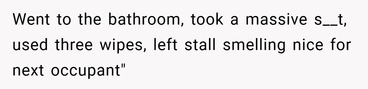 Went to the bathroom, took a massive s__t, used three wipes, left stall smelling nice for next occupant"