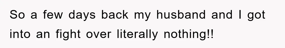 So a few days back my husband and I got into an fight over literally nothing!!