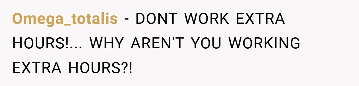 Omega_totalis − DONT WORK EXTRA HOURS!... WHY AREN'T YOU WORKING EXTRA HOURS?!