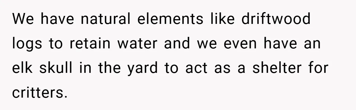 We have natural elements like driftwood logs to retain water and we even have an elk skull in the yard to act as a shelter for critters.