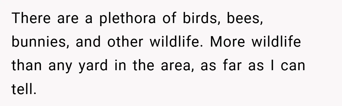 There are a plethora of birds, bees, bunnies, and other wildlife. More wildlife than any yard in the area, as far as I can tell.