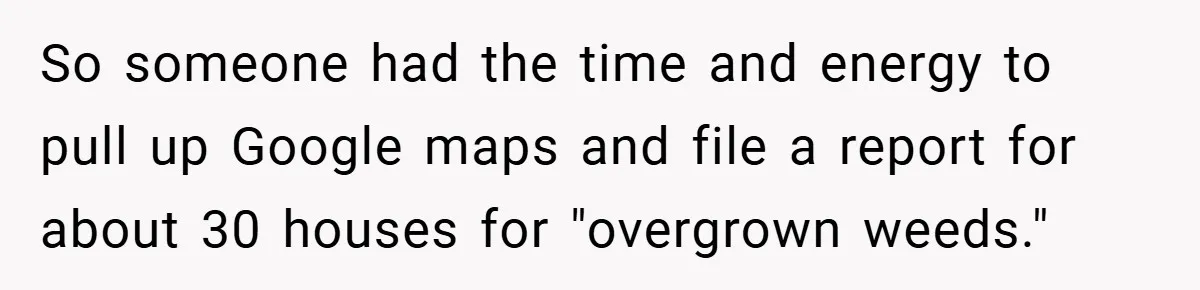 So someone had the time and energy to pull up Google maps and file a report for about 30 houses for "overgrown weeds."