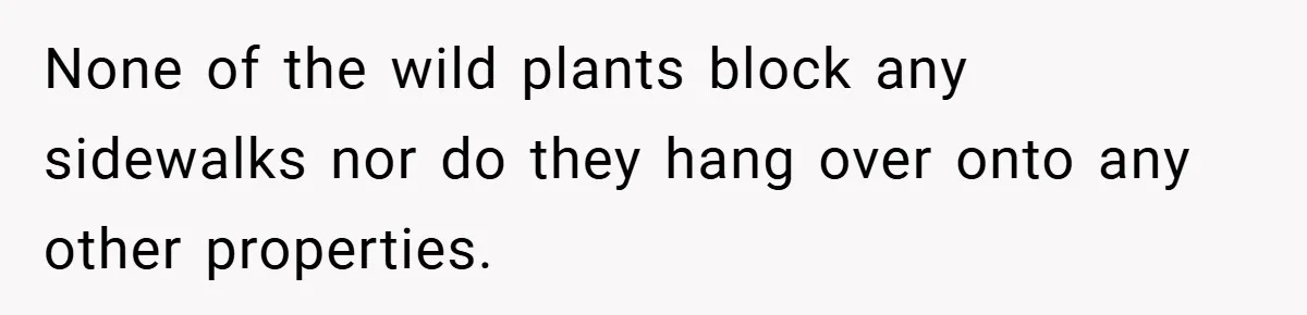 None of the wild plants block any sidewalks nor do they hang over onto any other properties.