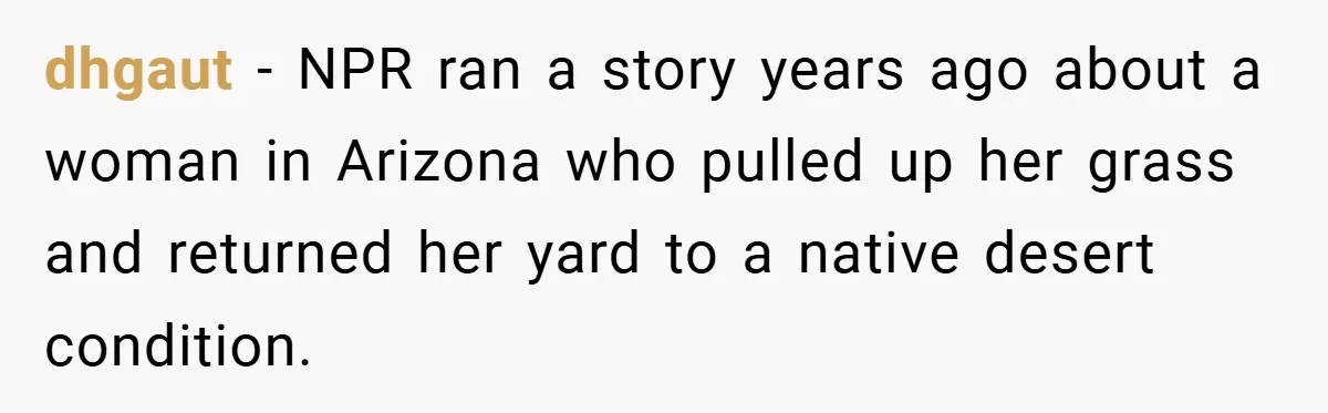 dhgaut − NPR ran a story years ago about a woman in Arizona who pulled up her grass and returned her yard to a native desert condition.