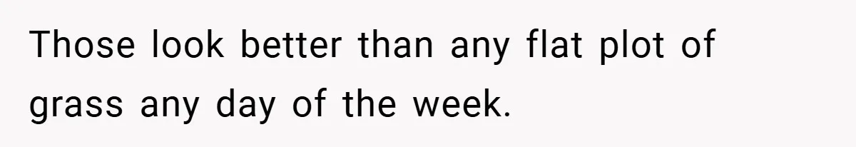 Those look better than any flat plot of grass any day of the week.