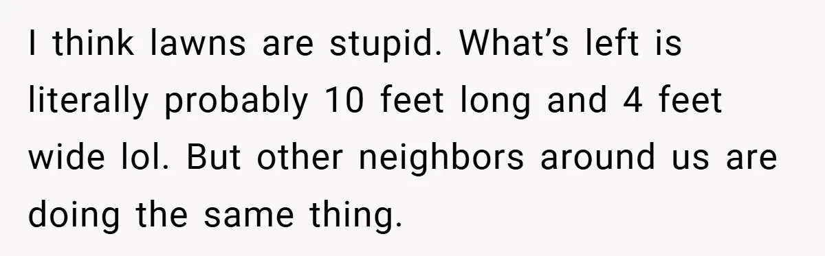 I think lawns are stupid. What’s left is literally probably 10 feet long and 4 feet wide lol. But other neighbors around us are doing the same thing.