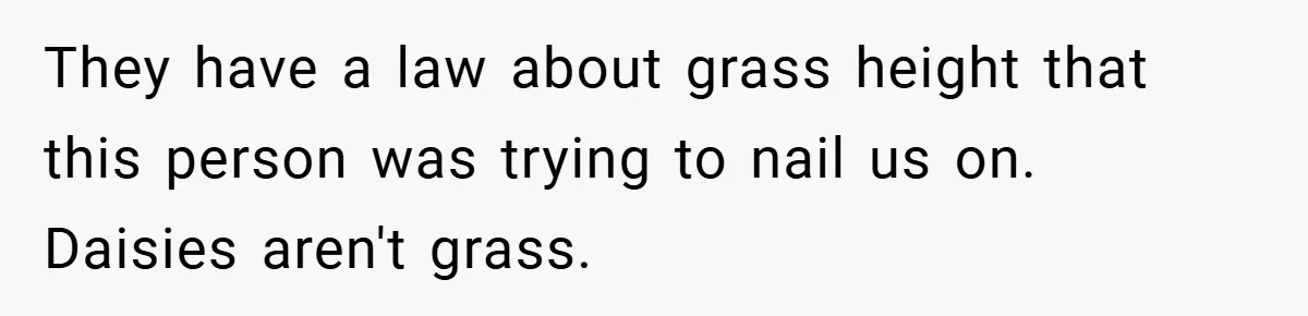 They have a law about grass height that this person was trying to nail us on. Daisies aren't grass.