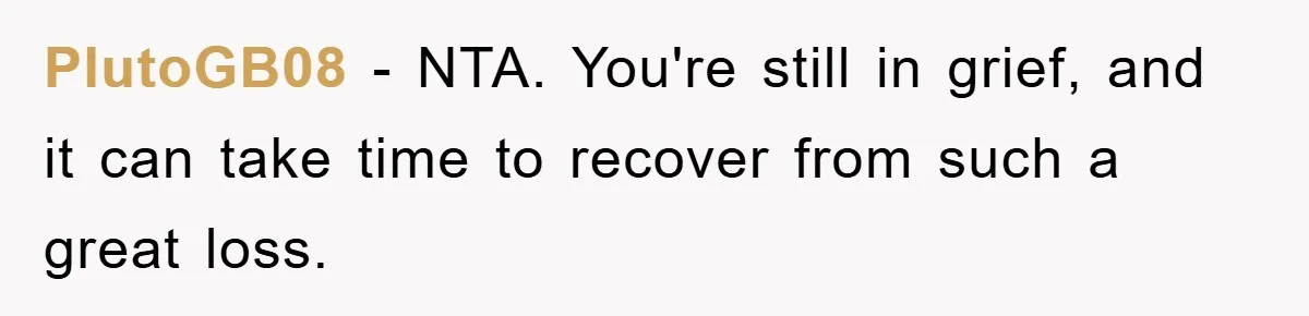 PlutoGB08 − NTA. You're still in grief, and it can take time to recover from such a great loss.