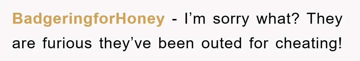 BadgeringforHoney − I’m sorry what? They are furious they’ve been outed for cheating!