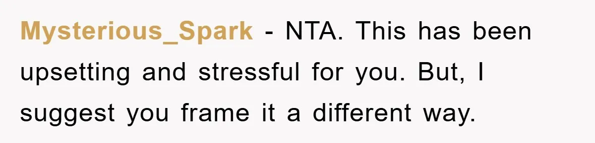 Mysterious_Spark − NTA. This has been upsetting and stressful for you. But, I suggest you frame it a different way.