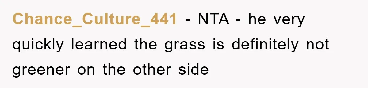 Chance_Culture_441 − NTA - he very quickly learned the grass is definitely not greener on the other side