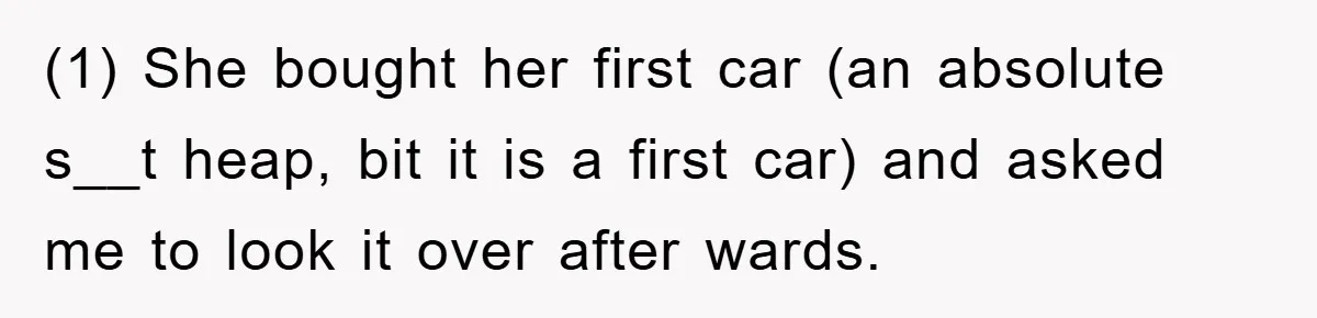 (1) She bought her first car (an absolute s__t heap, bit it is a first car) and asked me to look it over after wards.