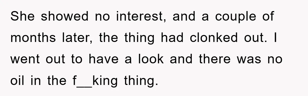 She showed no interest, and a couple of months later, the thing had clonked out. I went out to have a look and there was no oil in the f__king...